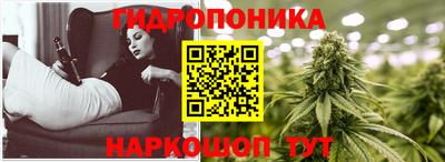 spice Бугуруслан